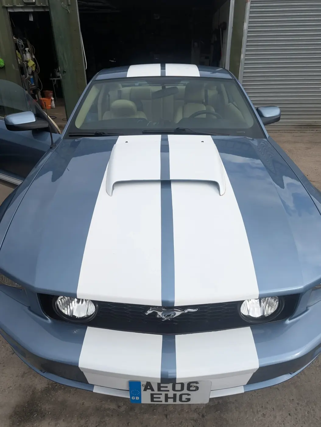 Ford Mustang after machine polishing